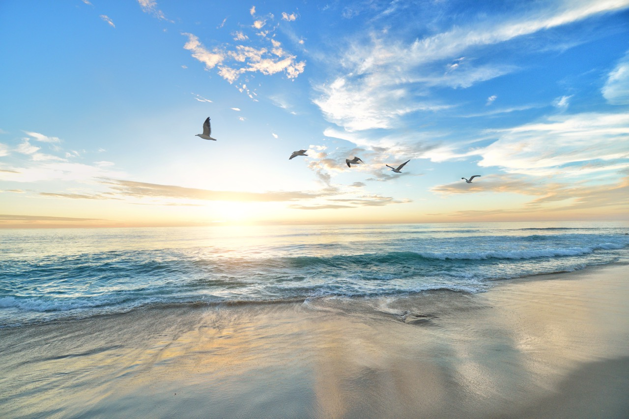 birds flying over sunset on beach - CPC Travel